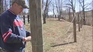Construction Of The Valiant Grape Vineyard At Breitenbach Winery