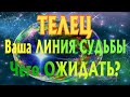 ТЕЛЕЦ ♉ Ваша ЛИНИЯ СУДЬБЫ Чего ВАМ ОЖИДАТЬ гадание онлайн Angel Tarot