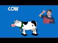 ANIMALS IN SIGN LANGUAGE By The Brilliant Kid 