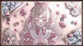 魔女のアリス標本