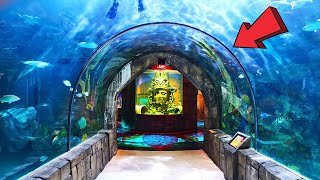 Audubon Aquarium New Orleans Louisiana Full Tour 2024 by Fantabulous Travels 900 views 1 month ago 33 minutes