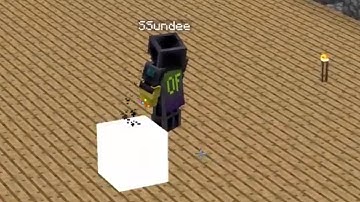 THE END IS NEAR!!!! ( Insane Craft )