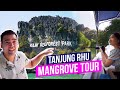 Mangrove Tour Langkawi at Tanjung Rhu | Kilim Geoforest Park | Things to do in Langkawi