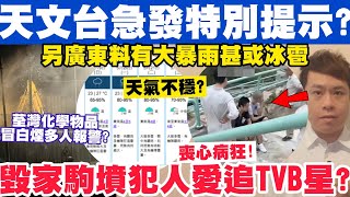 (AI字幕)天文台急發特別提示！另廣東料有大暴雨甚或冰雹？毀家駒墳犯人鍾愛追TVB星？20-5-2024