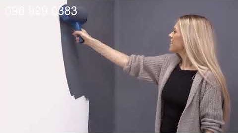 Cây lăn sơn thông minh