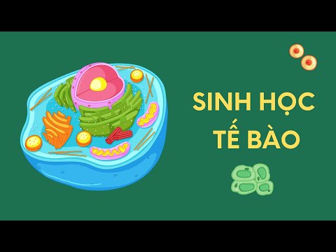 Video: Tại sao tất cả các tế bào đều cần thực hiện quá trình tổng hợp prôtêin?