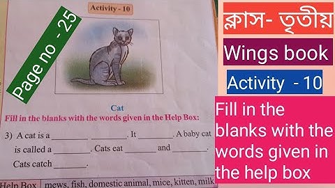 Class-3/wings book/Activity  - 10/Fill in the blanks with the words given in the help box.
