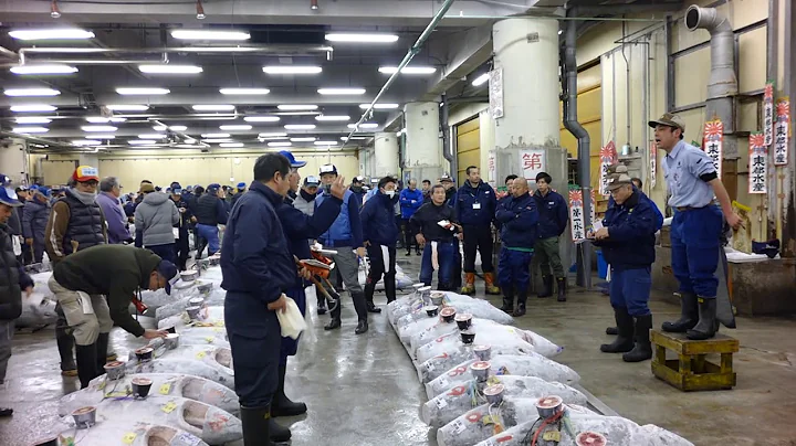 2018’s first tuna auction at Tokyo’s Tsukiji fish market [RAW VIDEO] - DayDayNews