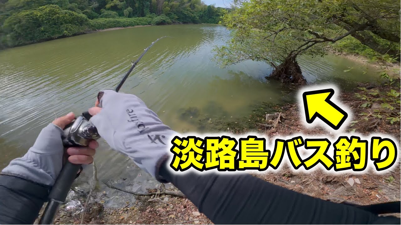 淡路島バス釣り。朝は旧吉野川で、野池巡りで釣れるポイントを探しランガンする【車中泊釣り旅】