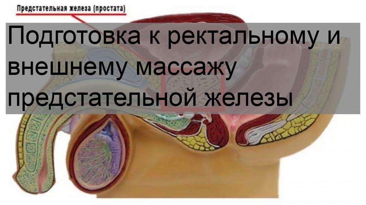 Подготовка к ректальному и внешнему массажу предстательной железы