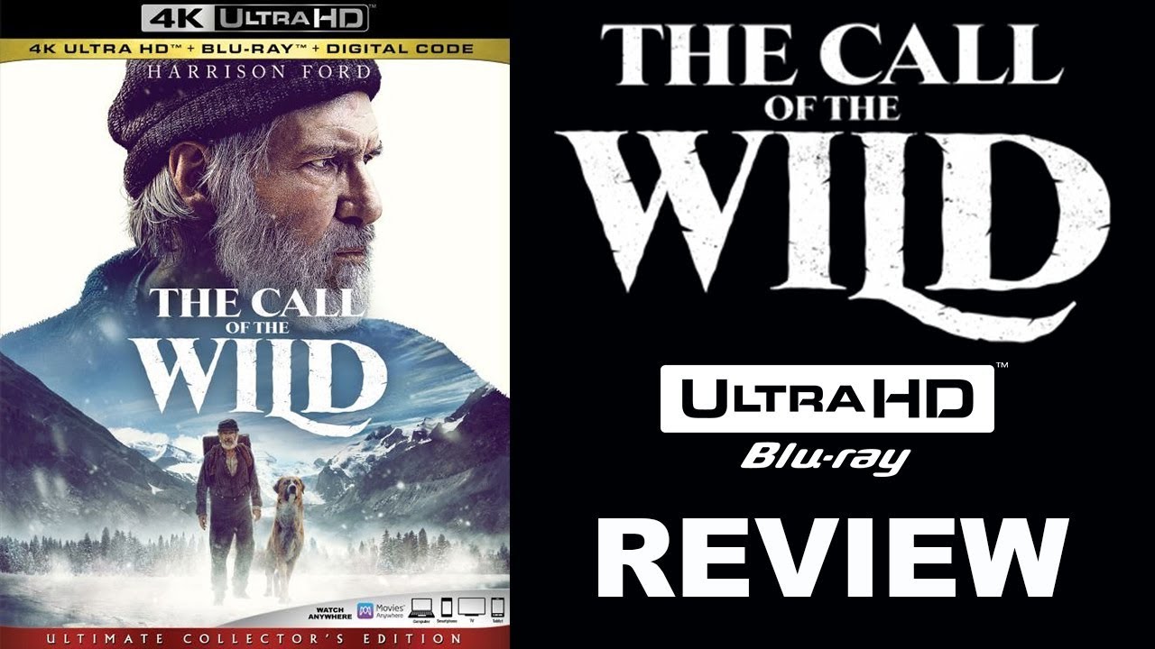 Best Looking 4k Contender Of The Call Of The Wild 4k Blu Ray Review Youtube