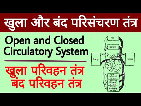 खुला और बंद परिसंचरण तंत्र | Open and Closed Circulatory System | खुला और बन्द परिवहन तंत्र