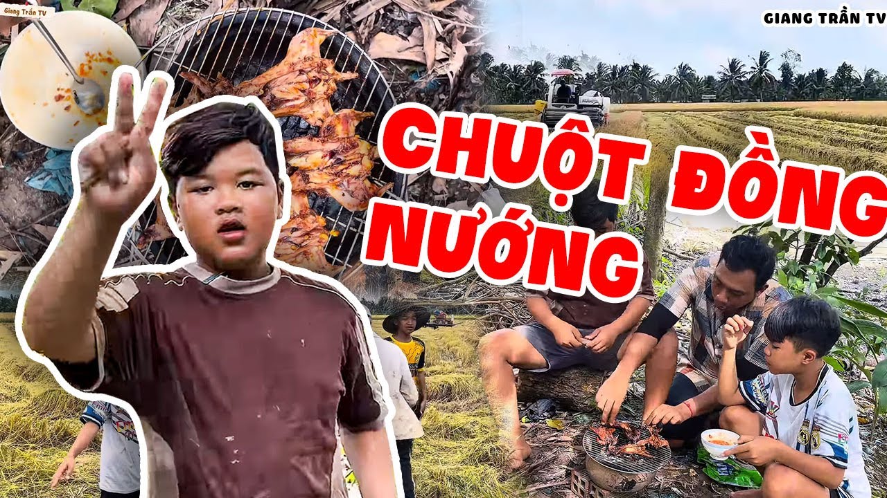 Nay Cùng Ba Báo Ra Ruộng Bắt Chuột Cực Vui, Món Chuột Đồng Nướng Thơm Nức Mũi | Ba Anh Em