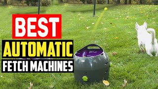 Top 5 Best Automatic Fetch Machines in 2023