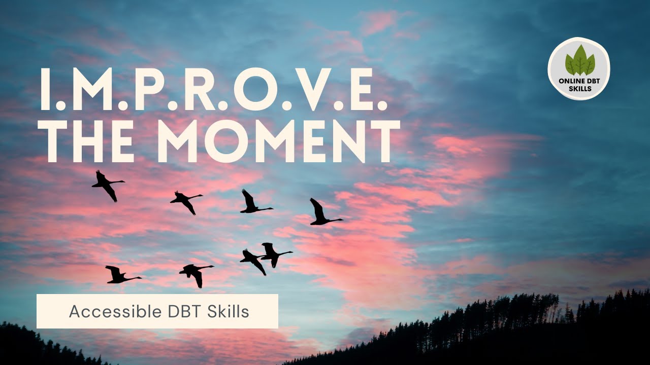 DBT Skill- IMPROVE
