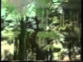 Helali Chera Bigharari بابا حیدر Helali Chera Bigharari بابا حیدر