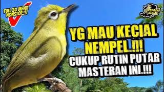 Masteran Kecial Kuning Ampuh Bikin Kecial Cepat NEMPEL‼️Full 30 Menit NONSTOP‼️| PEPADU KECIAL