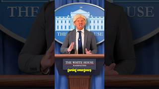 Download Lagu Heeft Trump het gamen gered? 😂 MP3 Download Lagu Heeft Trump het gamen gered? 😂 MP3