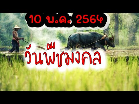 วันพืชมงคล2564 🙂 | วันหยุดราชการ | พิธีจรดพระนังคัลแรกนาขวัญ | วันเกษตรกรไทย