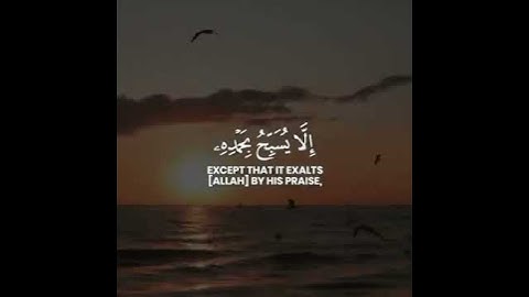 #قرآن #اكسبلور #المصحف تلاوات خاشعه