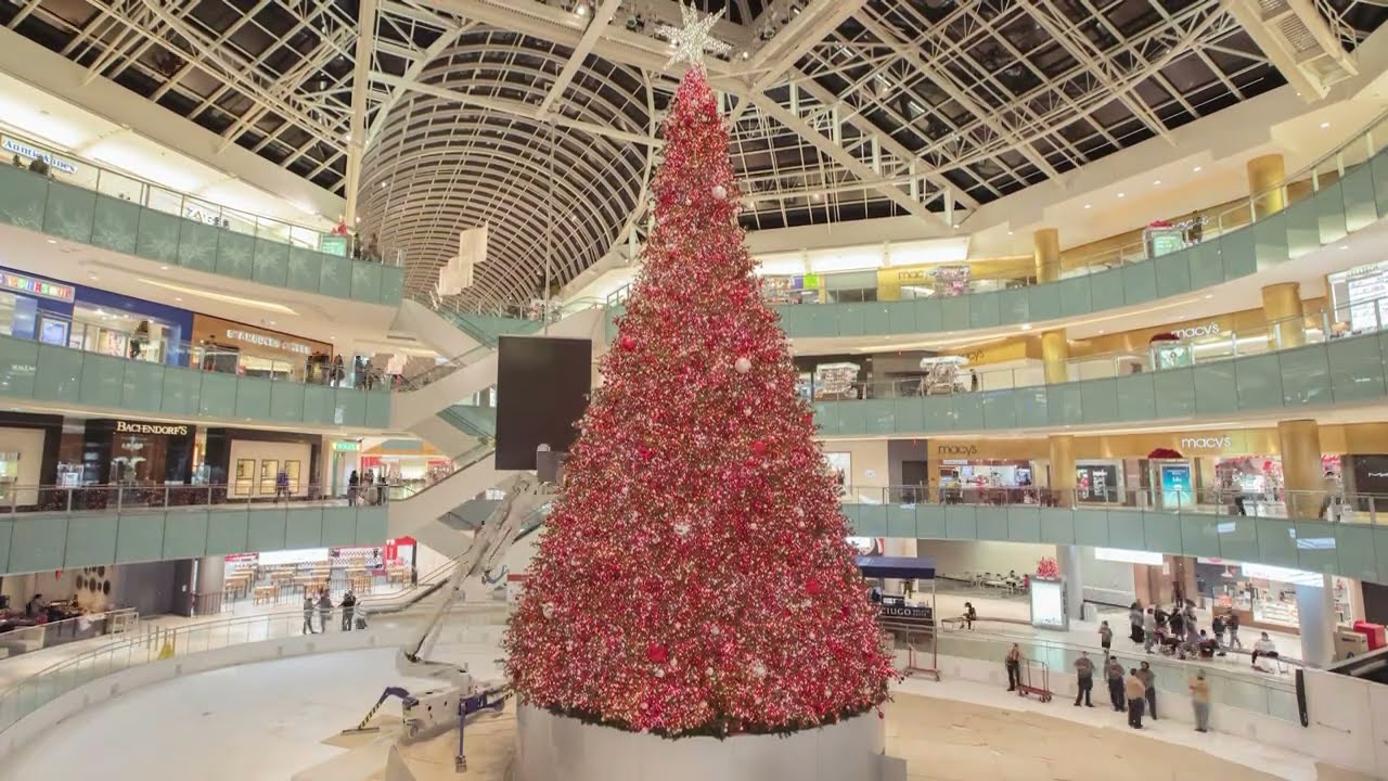 Nation's Tallest Indoor Christmas Tree Takes Root In A Dallas Shopping Mall