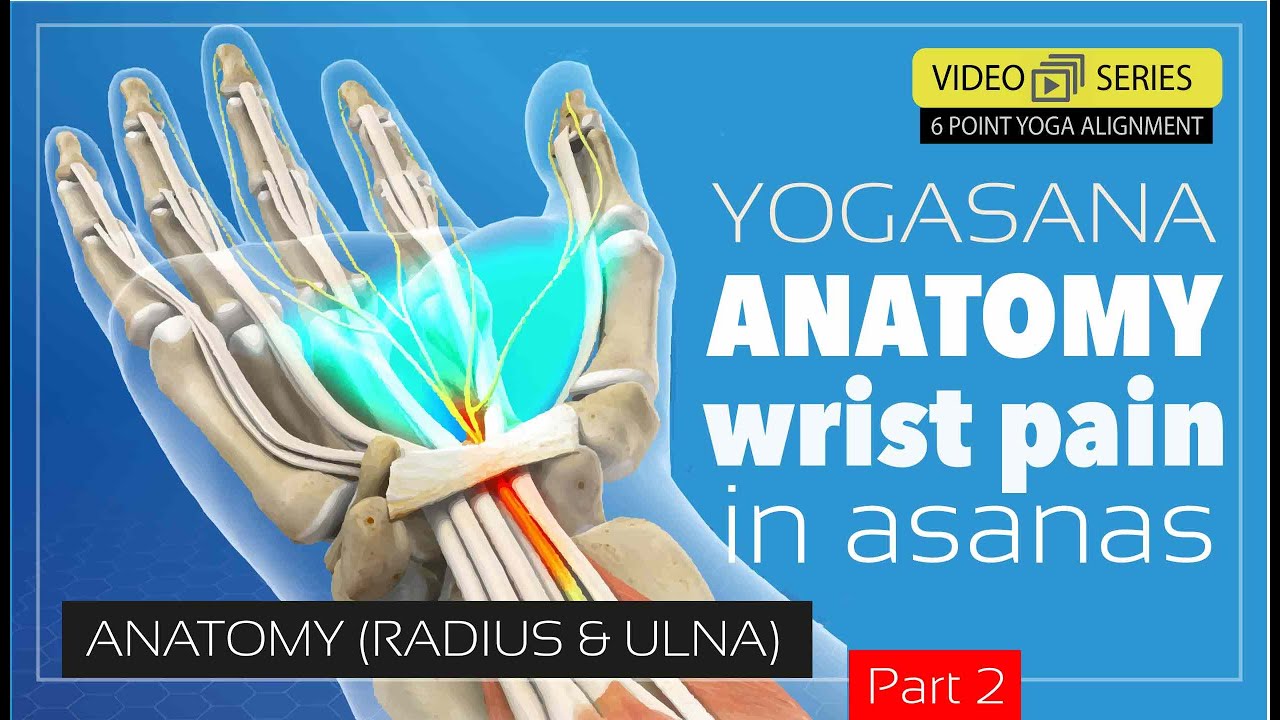 Working With Wrist Pain In Yoga? - Yoganatomy