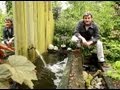 Installer une fontaine jaillissante au jardin