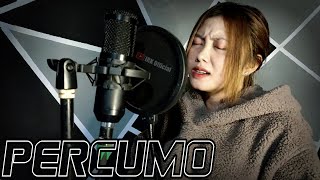 Pero Voc Ira Vanesa Cover Prima Hp Ali Px