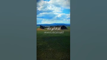 #سوره_انعام، آیات ۱۱۴ تا ۱۱۷