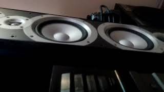 Bass i love You.... Infinity primus p363