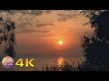 4K Blackbird singing melody at sunset - 3 hrs bird song &amp; awesome sunsets - Meditation relaxation