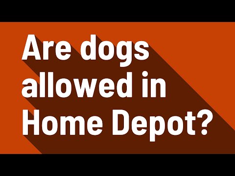 Are dogs allowed in Home Depot?