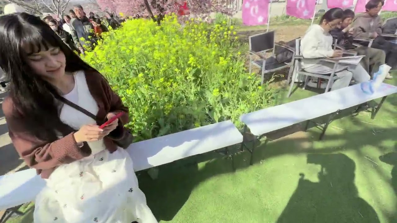 ★伊豆シリーズ・京都シリーズの次は伊豆です。静岡県河津町の河津桜ロングバケーションです