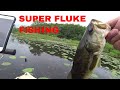 Large Mouth Bass Fishing Long Pond New York with the Zoom Super Fluke Large Mouth Bass Fishing Long Pond New York with the Zoom Super Fluke