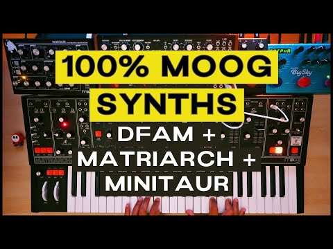 Analog Chorale (Moog DFAM + MF Delay // Matriarch + Strymon Bigsky // Minitaur)