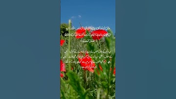 Surat No 14 : سورة إبراهيم - Ayat No 18 I Quran translation Arabic and Urdu