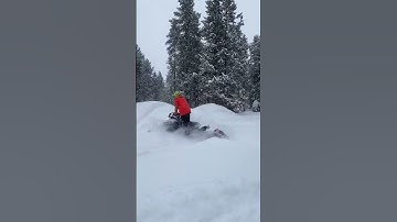 How I feel when riding sleds vs how I really look 🤨 #fail #funny #509 #snow