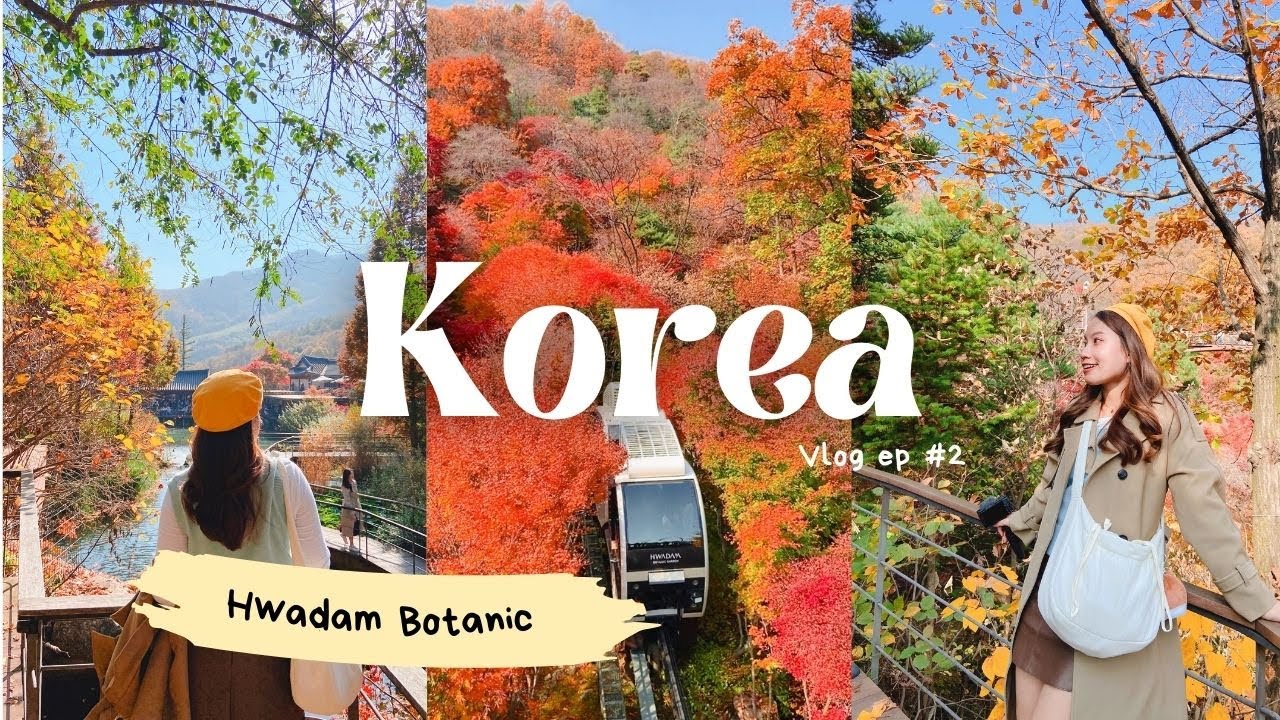 KOREA VLOG EP2 AUTUMN🍂🍁 ใบไม้เปลี่ยนสี ที่ Hwadam Botanic Garden แม่น้ำฮัน โพจังมาจา (เต๊นท์แดง)
