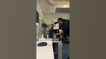 ✨ Figure creation mini-series ✨ . Part 1: How to properly take a microscope image I only included a