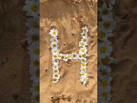 رمشي خطاف