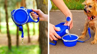 11 Best Dog Gadgets and Accessories on Amazon Under Rs 50 , Rs 100 , Rs 200 , Rs 500