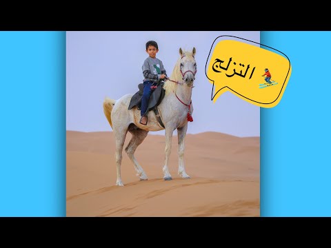 أكشن الحصان جفل وقطع خيمتنا وقربع الأغراض الجزء الثالث والأخير