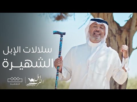 إبل العرب سلالات الإبل الشهيرة