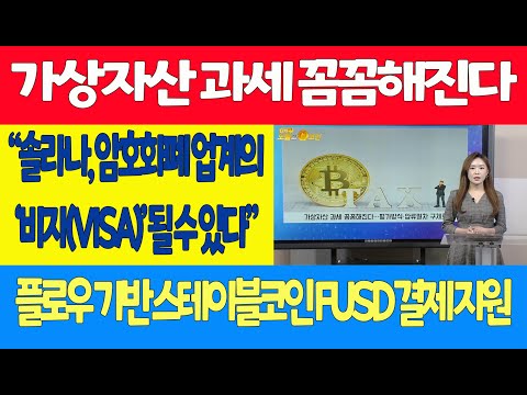 가상자산 과세 꼼꼼해진다/“솔라나, 암호화폐 업계의 ‘비자(<strong>VISA</strong>)’ 될 수 있다”/플로우 기반 스테이블코인 FUSD 결제 지원