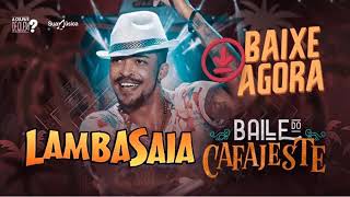 Lambasaia DVD Baile do cafajeste