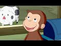 La leva perfetta di George 🐵 Curioso Come George 🐵 Cartoni per Bambini