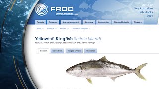 The Status of Australian Fish Stock (SAFS) Reports: Yellowtail Kingfish