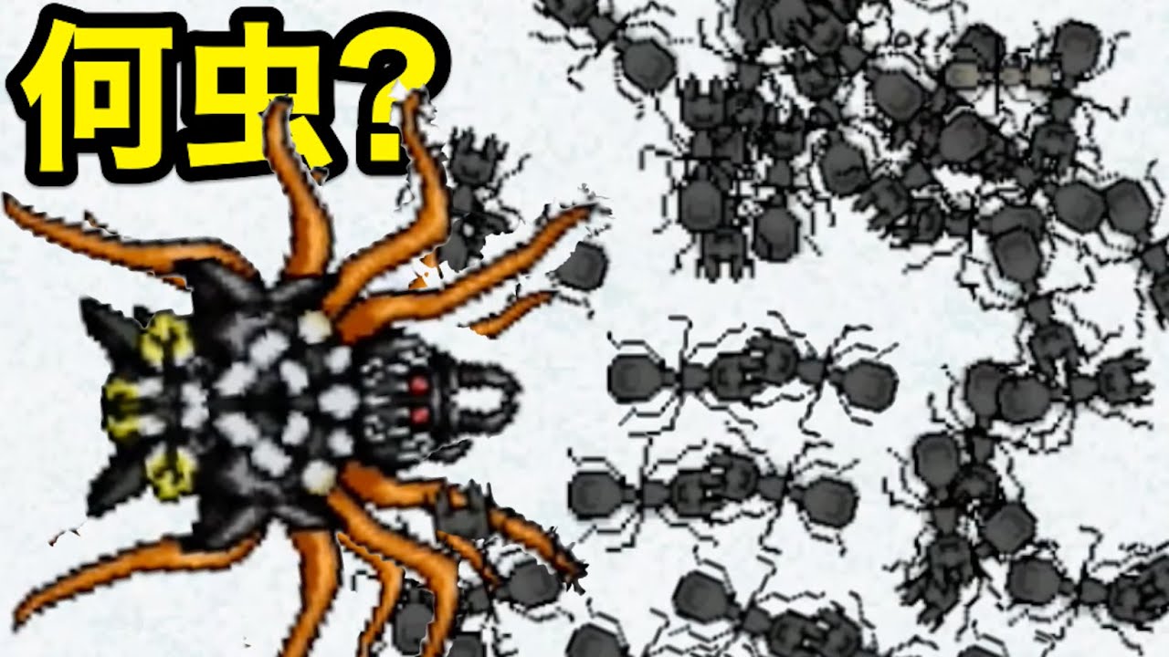 冬になっても活動するアリにおいしそうなエサ ナゾの虫 あげてみた Pocket Ants Youtube 冬になっても活動するアリにおいしそうなエサ ナゾの虫 あげてみた Pocket Ants Youtube