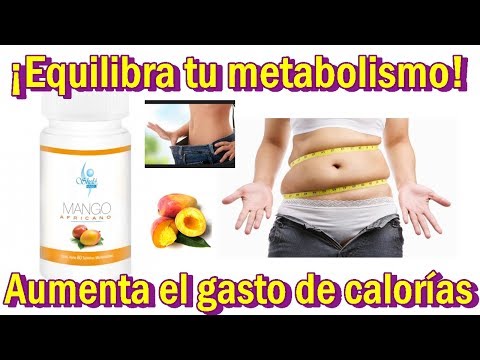 beneficios del mango africano beneficios del mango africano