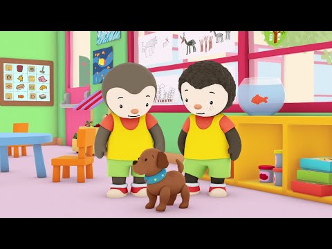 T'choupi à l'école -  Un chiot à l'école (S.2 EP.7)